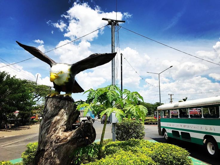 Best Astrologer in Ba Town